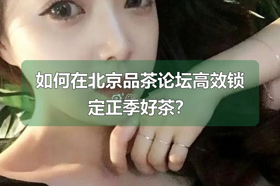 如何在北京品茶论坛高效锁定正季好茶?